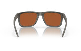 OAKLEY Holbrook Woodgrain Collection Prizm Shallow Water Polarized
