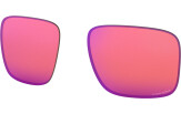 Prilliklaasid OAKLEY Holbrook XL Prizm Trail