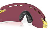 Päikeseprillid OAKLEY Encoder Strike Vented 2023 Tour De France Splatter Prizm Road