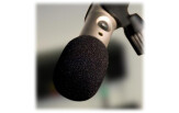 Rode WS3 Pop Filter/Wind Shield