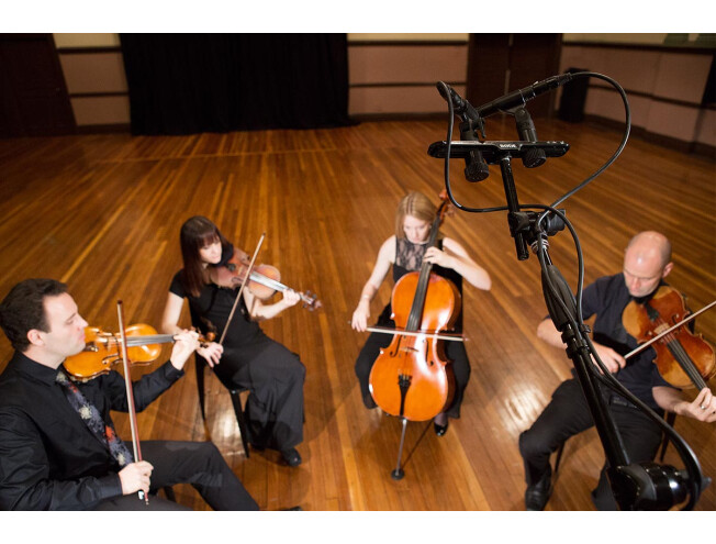 Rode M5 Compact 1/2" Condenser Microphone