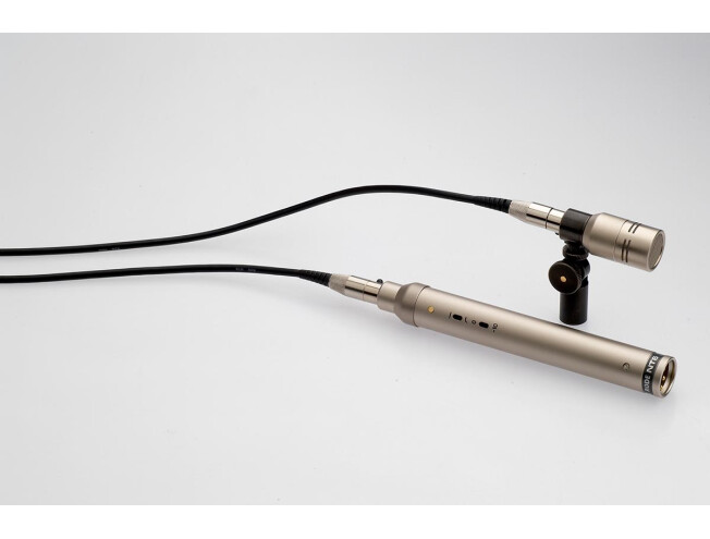 Rode NT6 Compact 1/2" Condenser Microphone with Remote Capsule