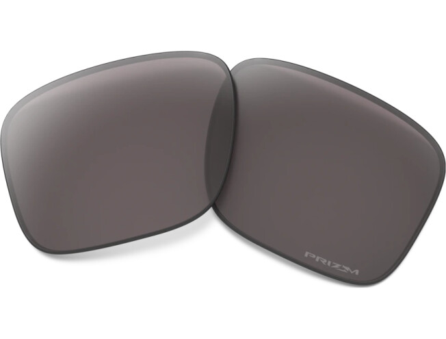 Prilliklaasid OAKLEY Holbrook Prizm Gray Polarized