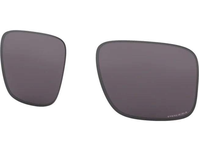Prilliklaasid OAKLEY Holbrook XL Prizm Grey