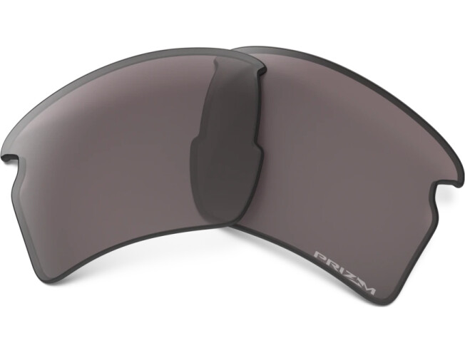 Prilliklaasid OAKLEY Flak 2.0 XL Prizm Grey Polarized